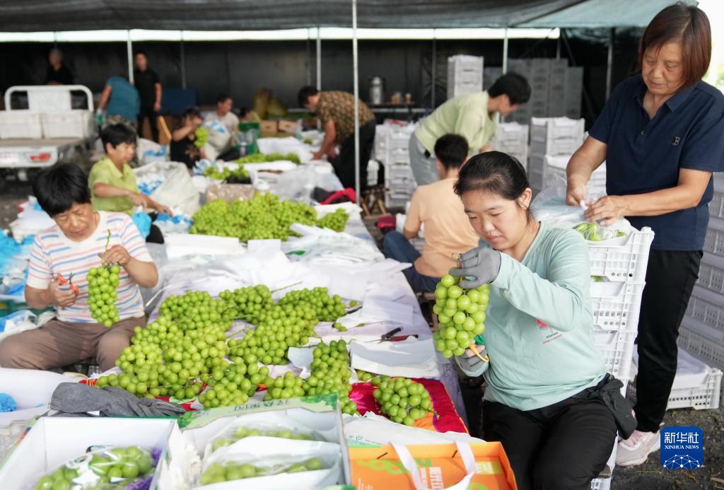 云顶夺宝技巧